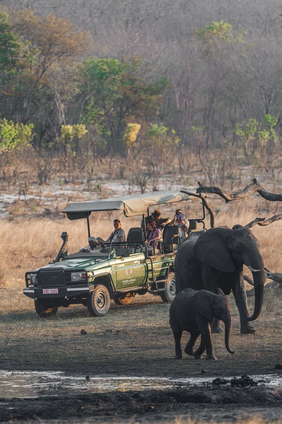 Safari vehicle with guests observing elephants and a calf in Hwange National Park