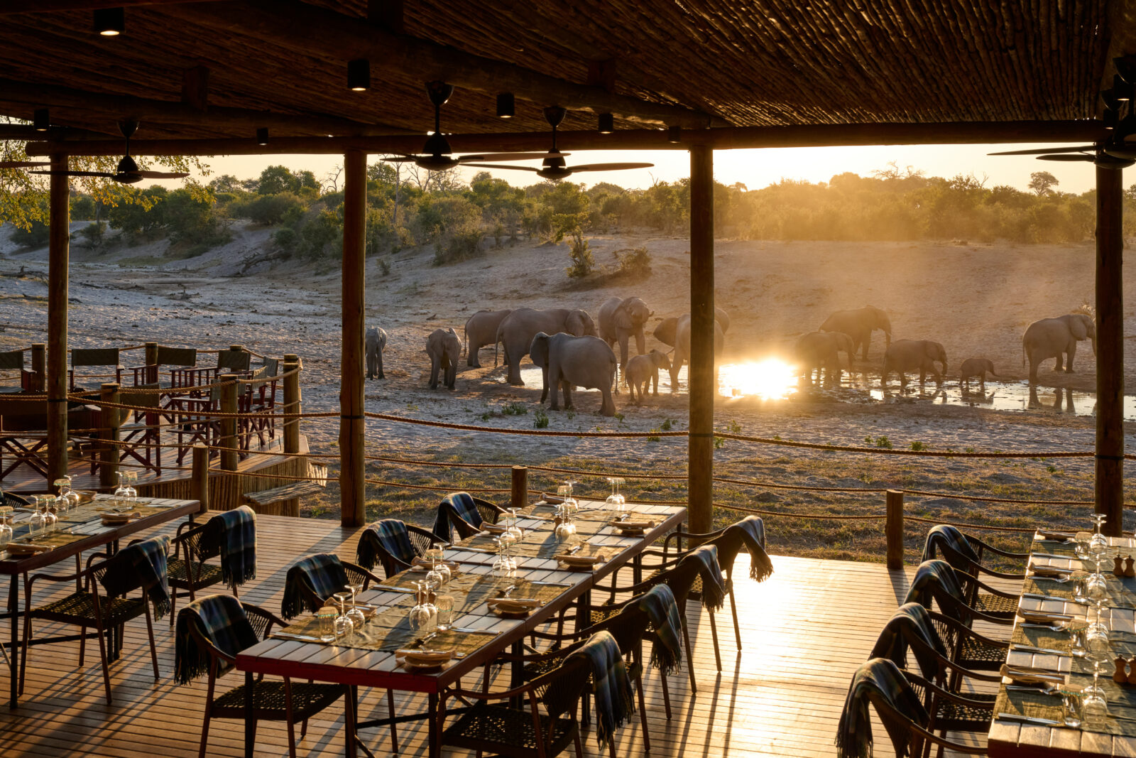 Dining deck overlooking a waterhole with elephants at sunset, Savuti